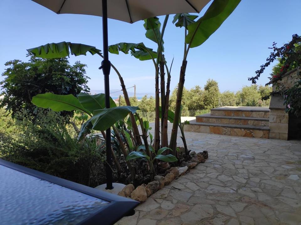 Xenia'S Countryside Guesthouse Agia Marina 외부 사진