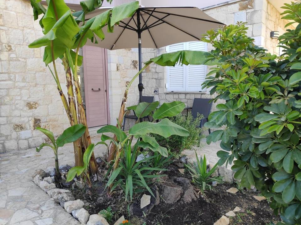 Xenia'S Countryside Guesthouse Agia Marina 외부 사진