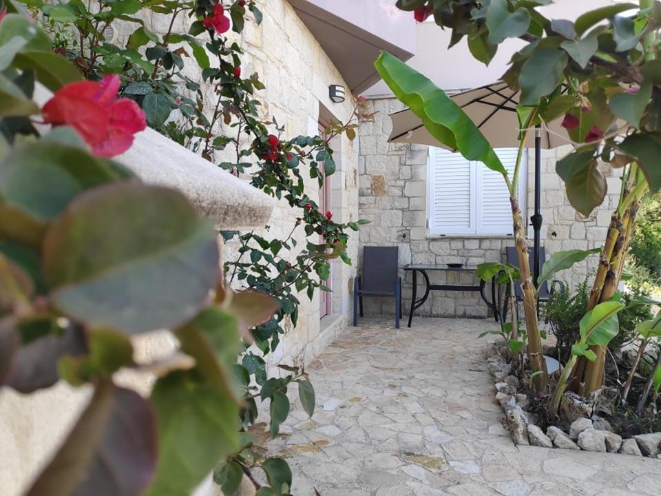 Xenia'S Countryside Guesthouse Agia Marina 외부 사진