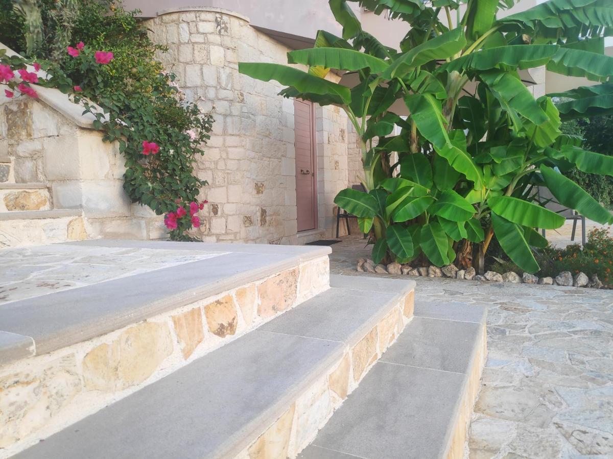 Xenia'S Countryside Guesthouse Agia Marina 외부 사진
